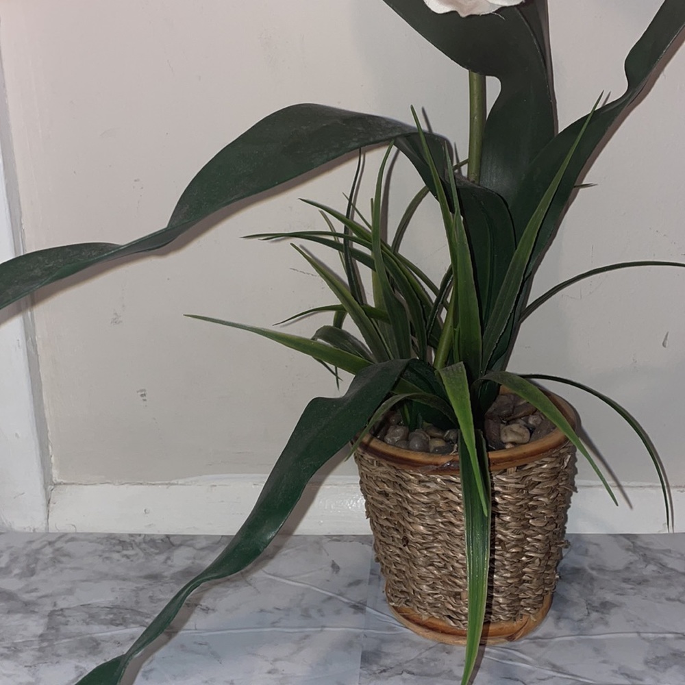 Home Decor - Picture 3 of 4